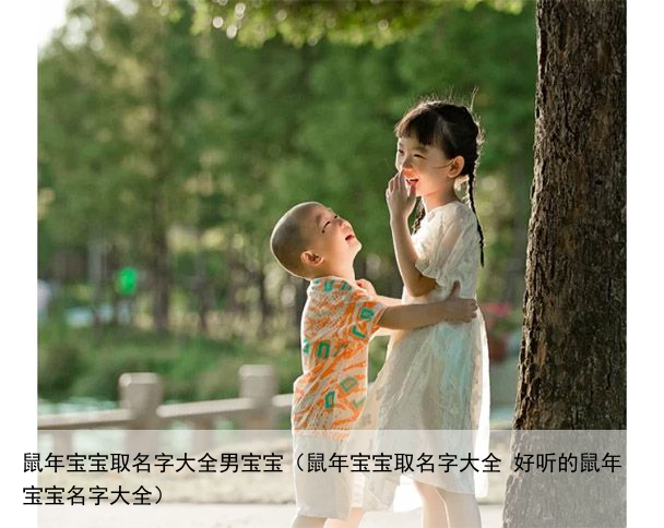 鼠年宝宝取名字大全男宝宝（鼠年宝宝取名字大全 好听的鼠年宝宝名字大全）