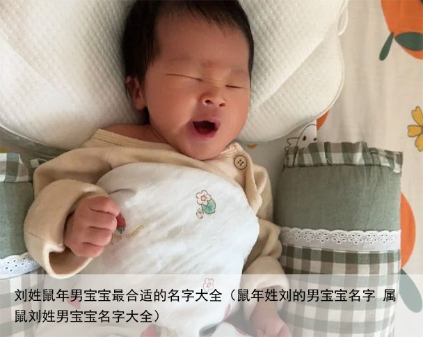 刘姓鼠年男宝宝最合适的名字大全（鼠年姓刘的男宝宝名字 属鼠刘姓男宝宝名字大全）