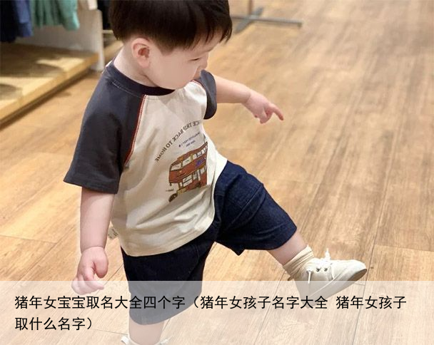 猪年女宝宝取名大全四个字（猪年女孩子名字大全 猪年女孩子取什么名字）