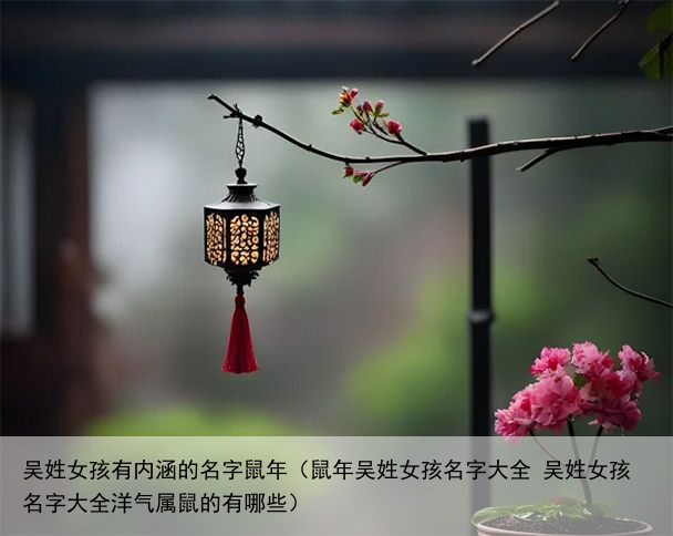 吴姓女孩有内涵的名字鼠年（鼠年吴姓女孩名字大全 吴姓女孩名字大全洋气属鼠的有哪些）