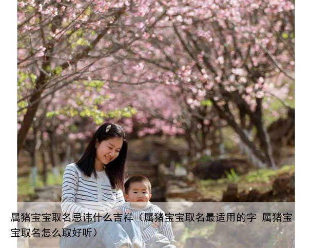 属猪宝宝取名忌讳什么吉祥（属猪宝宝取名最适用的字 属猪宝宝取名怎么取好听）