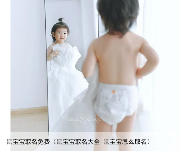 鼠宝宝取名免费（鼠宝宝取名大全 鼠宝宝怎么取名）