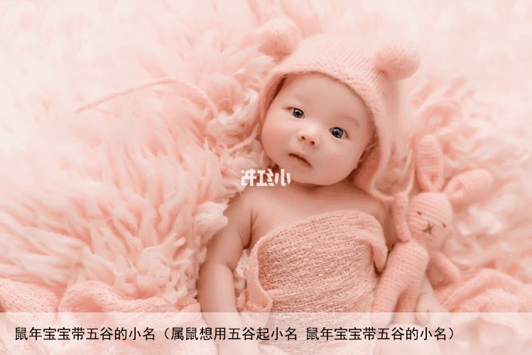 鼠年宝宝带五谷的小名（属鼠想用五谷起小名 鼠年宝宝带五谷的小名）