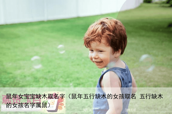 鼠年女宝宝缺木取名字（鼠年五行缺木的女孩取名 五行缺木的女孩名字属鼠）