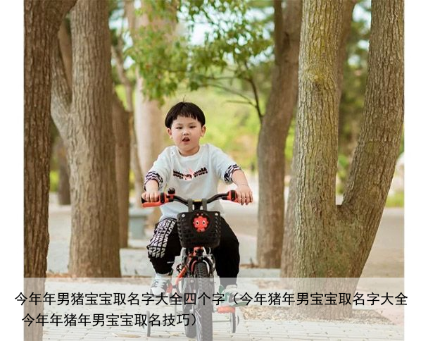 今年年男猪宝宝取名字大全四个字（今年猪年男宝宝取名字大全 今年年猪年男宝宝取名技巧）