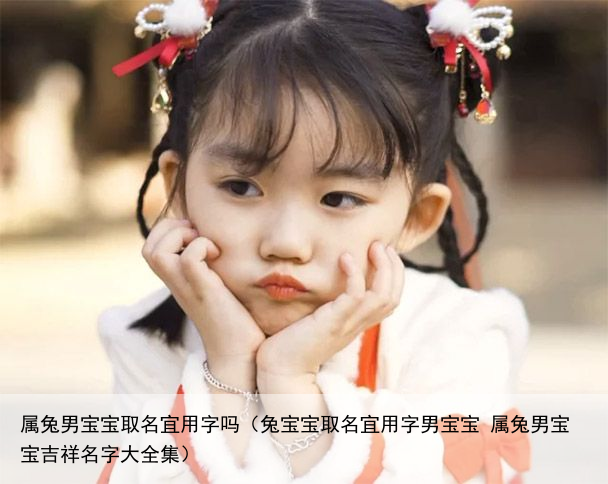 属兔男宝宝取名宜用字吗（兔宝宝取名宜用字男宝宝 属兔男宝宝吉祥名字大全集）