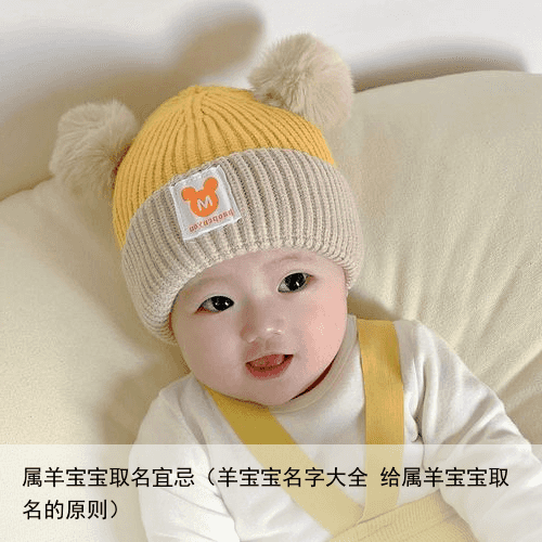 属羊宝宝取名宜忌（羊宝宝名字大全 给属羊宝宝取名的原则）