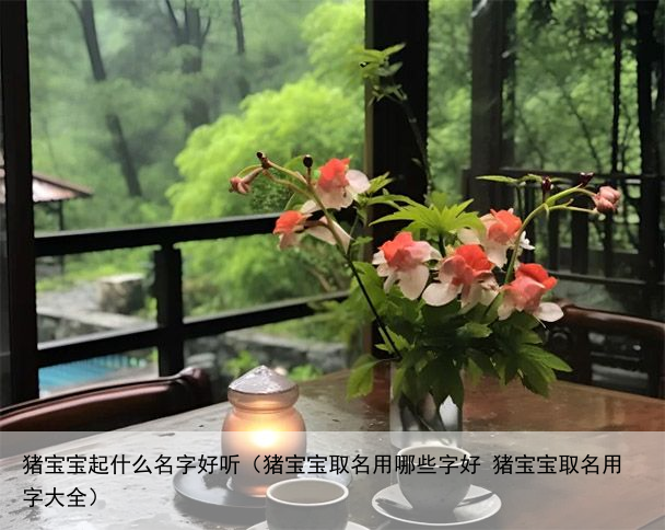 猪宝宝起什么名字好听（猪宝宝取名用哪些字好 猪宝宝取名用字大全）