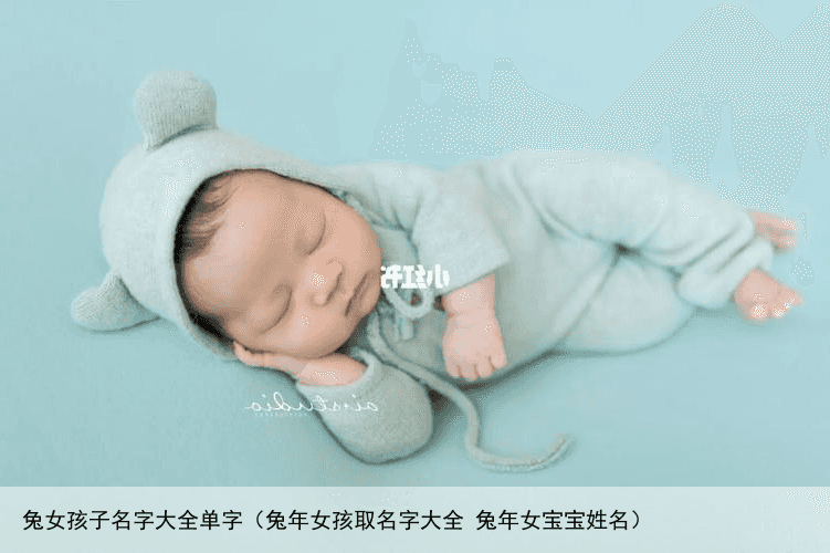 兔女孩子名字大全单字（兔年女孩取名字大全 兔年女宝宝姓名）
