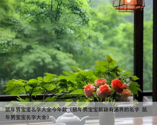 鼠年男宝宝名字大全今年款（鼠年男宝宝新颖有涵养的名字 鼠年男宝宝名字大全）