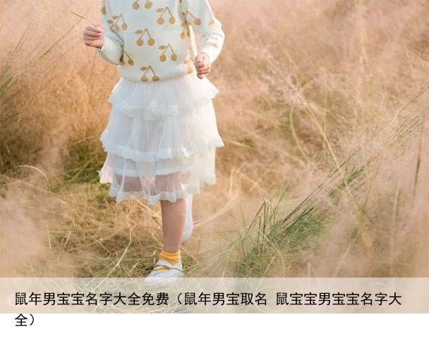 鼠年男宝宝名字大全免费（鼠年男宝取名 鼠宝宝男宝宝名字大全）