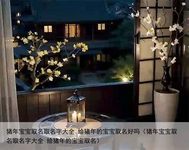 猪年宝宝取名取名字大全 给猪年的宝宝取名好吗（猪年宝宝取名取名字大全 给猪年的宝宝取名）