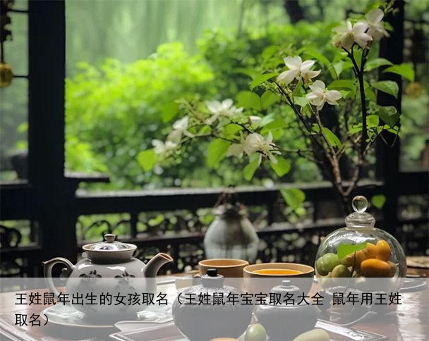 王姓鼠年出生的女孩取名（王姓鼠年宝宝取名大全 鼠年用王姓取名）