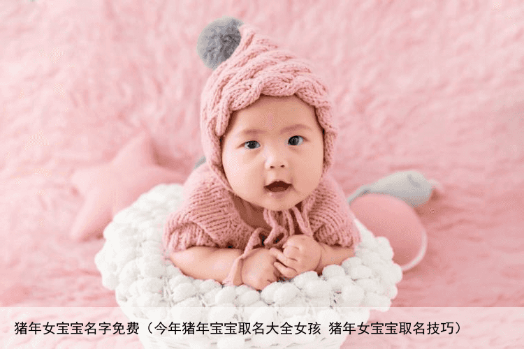 猪年女宝宝名字免费（今年猪年宝宝取名大全女孩 猪年女宝宝取名技巧）