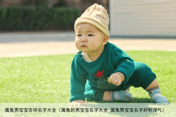 属兔男宝宝吉祥名字大全（属兔的男宝宝名字大全 属兔男宝宝名字好听洋气）