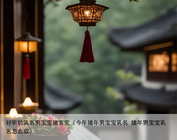 好听的乳名男宝宝猪宝宝（今年猪年男宝宝乳名 猪年男宝宝乳名怎么取）