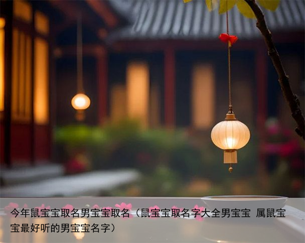 今年鼠宝宝取名男宝宝取名（鼠宝宝取名字大全男宝宝 属鼠宝宝最好听的男宝宝名字）