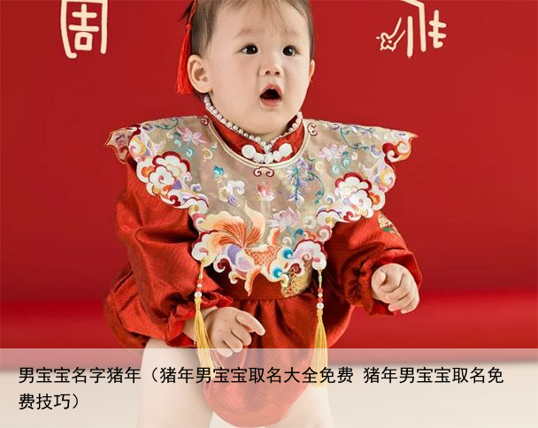 男宝宝名字猪年（猪年男宝宝取名大全免费 猪年男宝宝取名免费技巧）