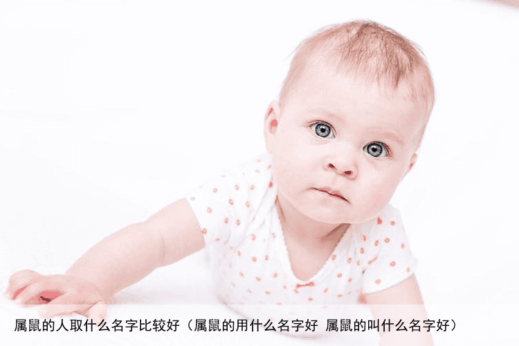 属鼠的人取什么名字比较好（属鼠的用什么名字好 属鼠的叫什么名字好）