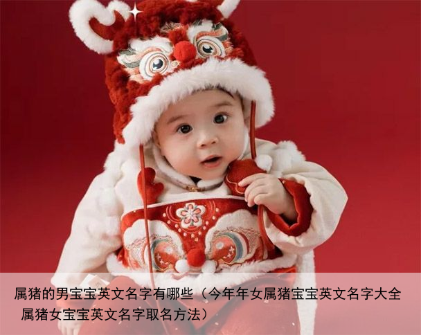 属猪的男宝宝英文名字有哪些（今年年女属猪宝宝英文名字大全 属猪女宝宝英文名字取名方法）