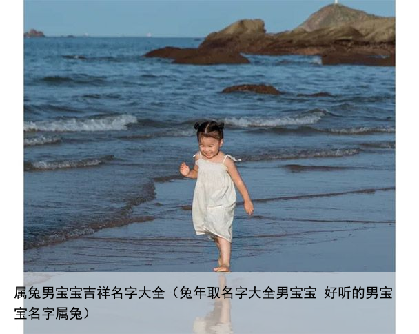 属兔男宝宝吉祥名字大全（兔年取名字大全男宝宝 好听的男宝宝名字属兔）