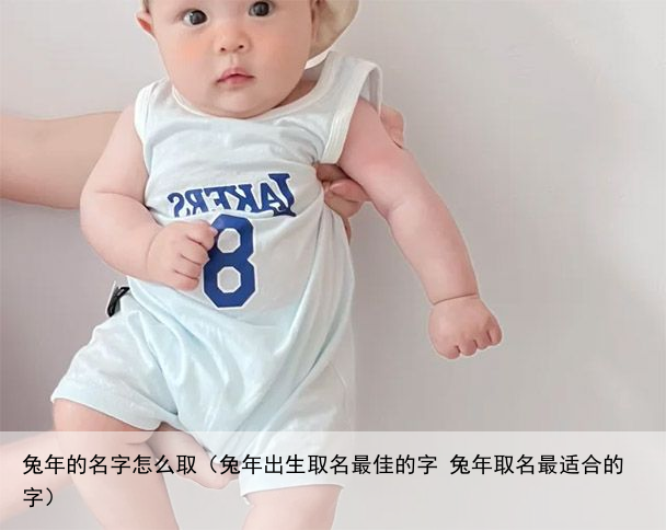 兔年的名字怎么取（兔年出生取名最佳的字 兔年取名最适合的字）