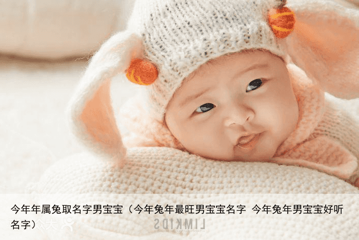 今年年属兔取名字男宝宝（今年兔年最旺男宝宝名字 今年兔年男宝宝好听名字）