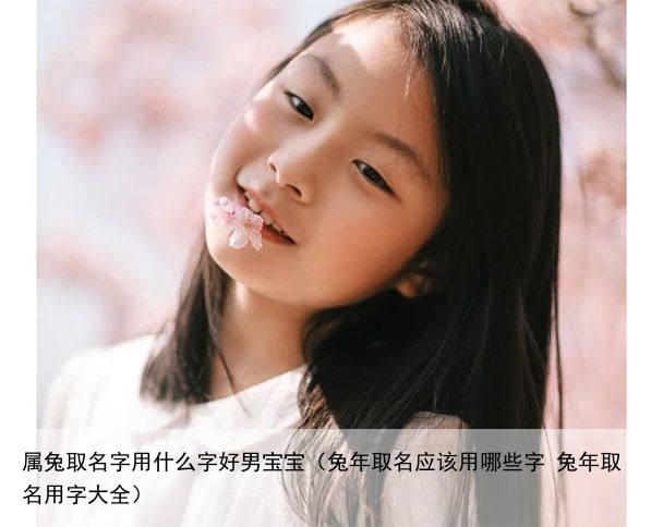 属兔取名字用什么字好男宝宝（兔年取名应该用哪些字 兔年取名用字大全）