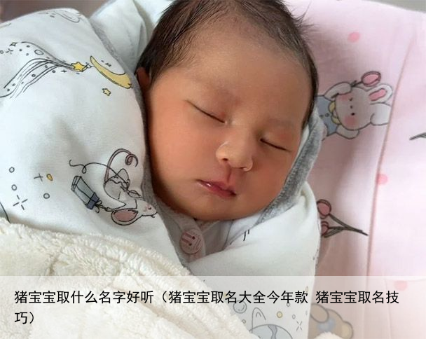 猪宝宝取什么名字好听（猪宝宝取名大全今年款 猪宝宝取名技巧）