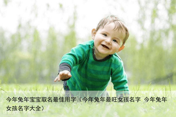今年兔年宝宝取名最佳用字（今年兔年最旺女孩名字 今年兔年女孩名字大全）