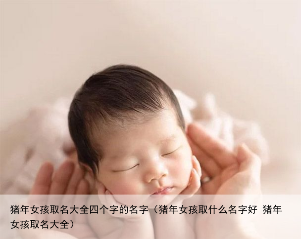 猪年女孩取名大全四个字的名字（猪年女孩取什么名字好 猪年女孩取名大全）