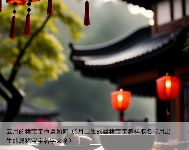 五月的猪宝宝命运如何（5月出生的属猪宝宝怎样取名 5月出生的属猪宝宝名字大全）