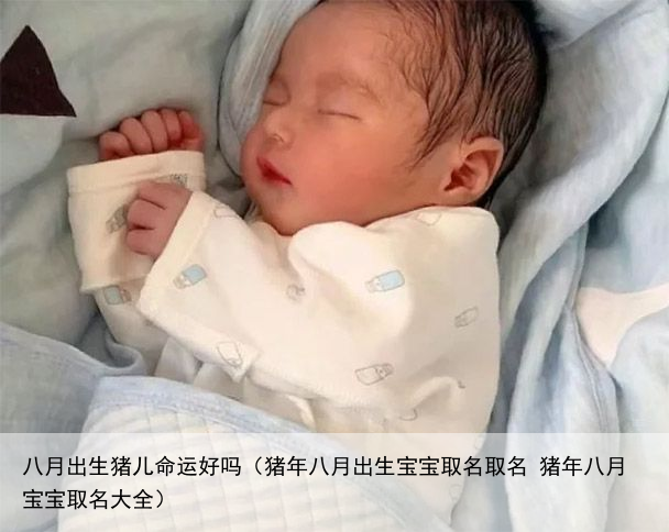 八月出生猪儿命运好吗（猪年八月出生宝宝取名取名 猪年八月宝宝取名大全）