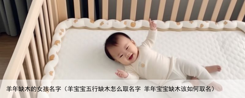 羊年缺木的女孩名字（羊宝宝五行缺木怎么取名字 羊年宝宝缺木该如何取名）