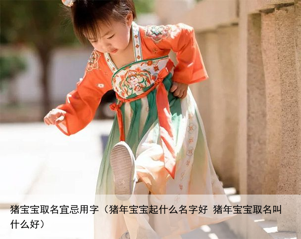 猪宝宝取名宜忌用字（猪年宝宝起什么名字好 猪年宝宝取名叫什么好）