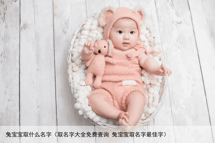 兔宝宝取什么名字（取名字大全免费查询 兔宝宝取名字最佳字）