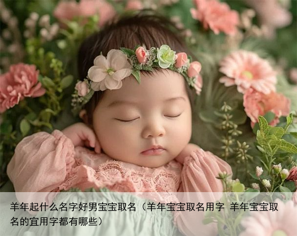 羊年起什么名字好男宝宝取名（羊年宝宝取名用字 羊年宝宝取名的宜用字都有哪些）