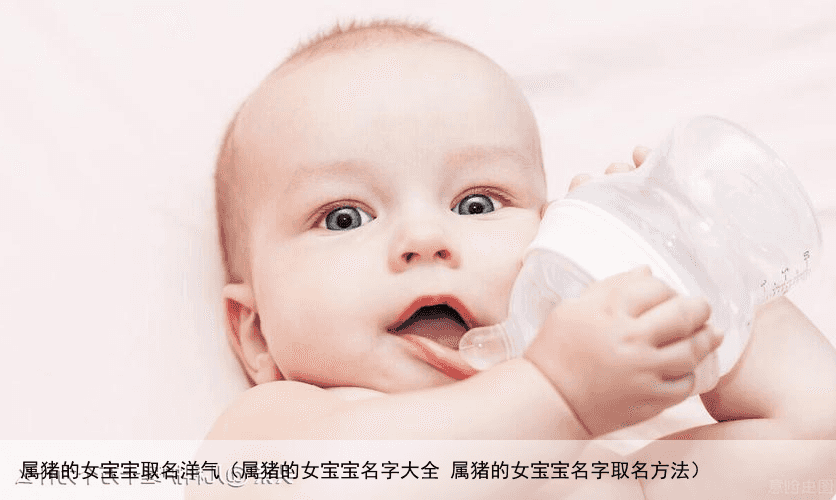 属猪的女宝宝取名洋气（属猪的女宝宝名字大全 属猪的女宝宝名字取名方法）