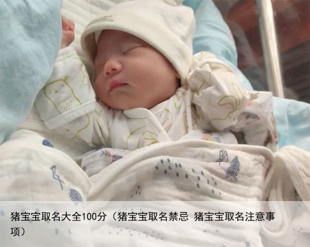 猪宝宝取名大全100分（猪宝宝取名禁忌 猪宝宝取名注意事项）