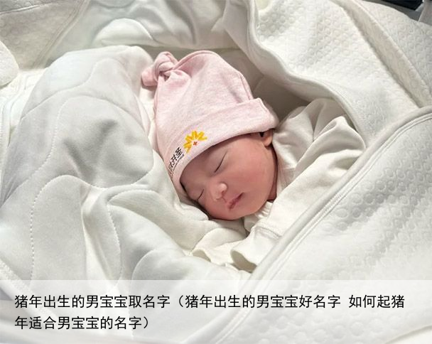 猪年出生的男宝宝取名字（猪年出生的男宝宝好名字 如何起猪年适合男宝宝的名字）