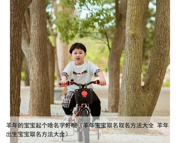 羊年的宝宝起个啥名字好呢（羊年宝宝取名取名方法大全 羊年出生宝宝取名方法大全）