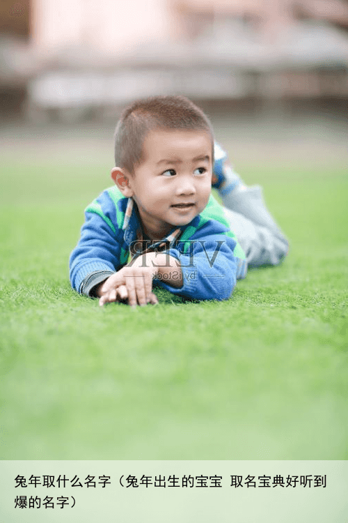 兔年取什么名字（兔年出生的宝宝 取名宝典好听到爆的名字）