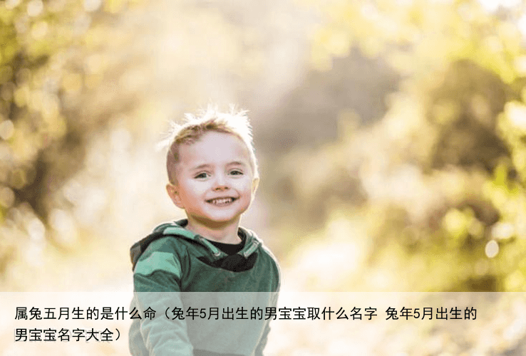 属兔五月生的是什么命（兔年5月出生的男宝宝取什么名字 兔年5月出生的男宝宝名字大全）