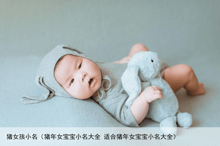 猪女孩小名（猪年女宝宝小名大全 适合猪年女宝宝小名大全）