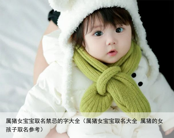 属猪女宝宝取名禁忌的字大全（属猪女宝宝取名大全 属猪的女孩子取名参考）