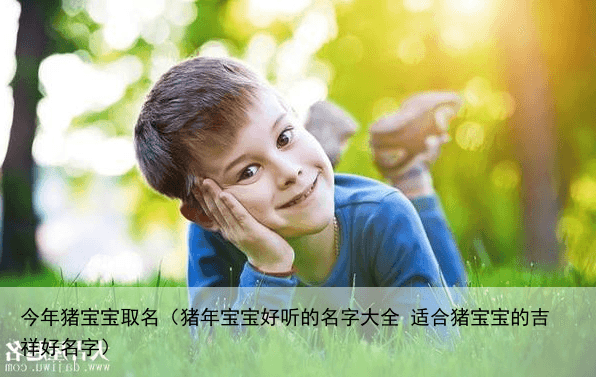 今年猪宝宝取名（猪年宝宝好听的名字大全 适合猪宝宝的吉祥好名字）